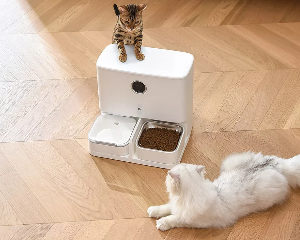 automatic water feeder for dogs